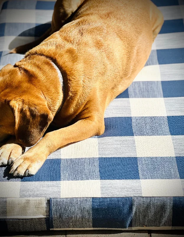 Hypoallergenic Pillows for Allergy SufferersHamptons  in navy - Pet Bed