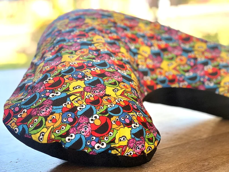 Down Alternative Pillows for Ethical ChoicesSesame Street  - Boomerang Pillow Case