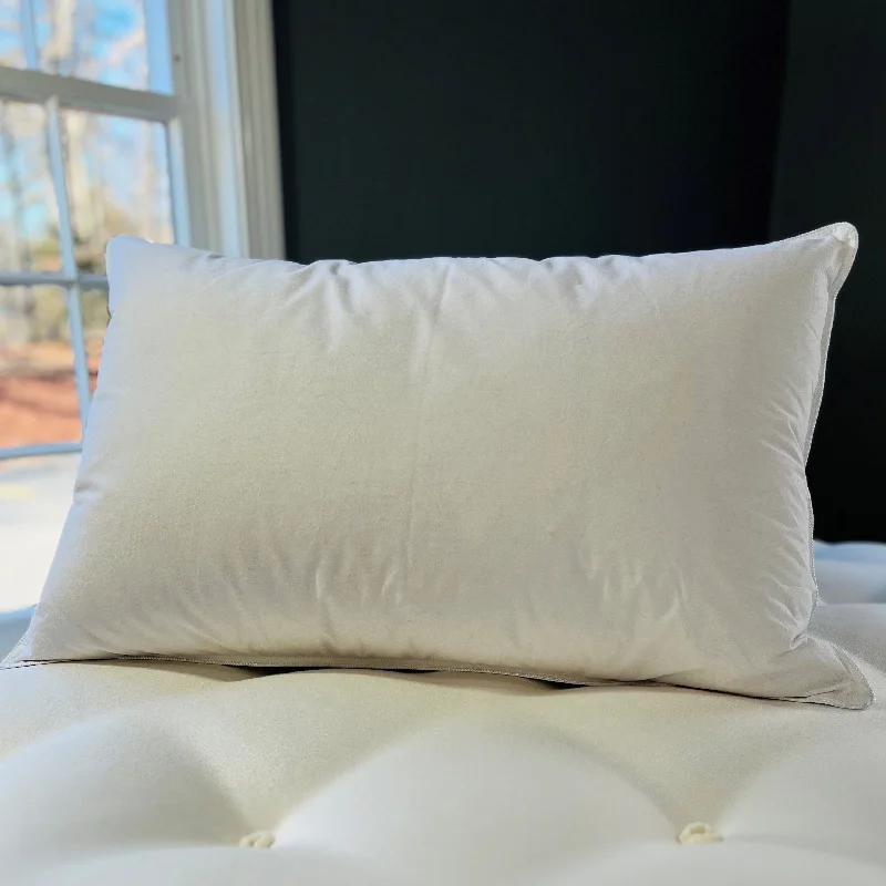 Kids Pillows with Fun DesignsIslamorada Kapok Pillow