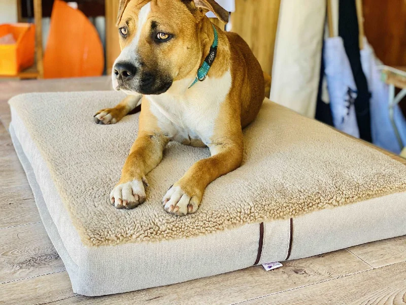 Pregnancy Pillows for Expectant MothersSherpa  - Pet Bed