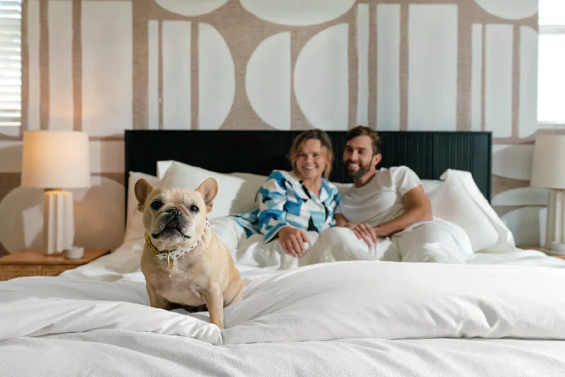 Jersey cotton duvet covers for a stretchy and comfortable fitSateen Duvet Cover in Ivory White