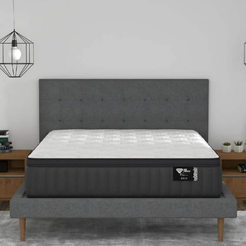 Spring Air Brisk Mattress